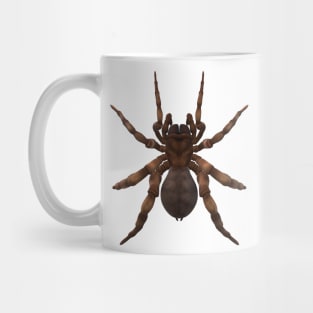 spider Mug